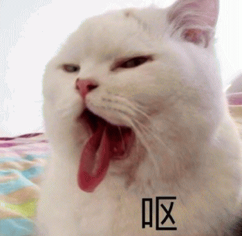 微信日常吸猫斗图表情包