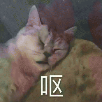 微信日常吸猫斗图表情包