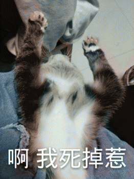 微信日常吸猫斗图表情包