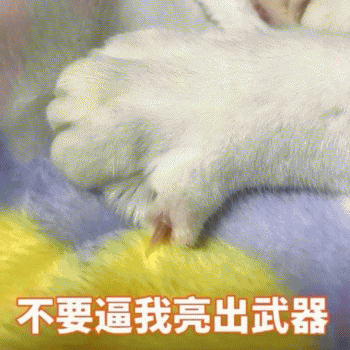 微信日常吸猫斗图表情包