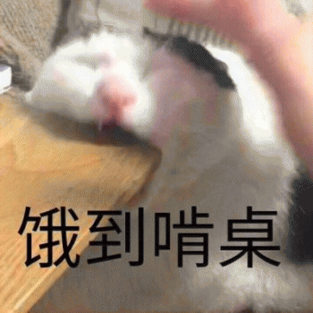 微信日常吸猫斗图表情包