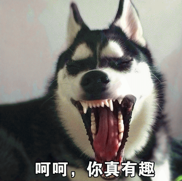 微信近期哈士奇恶搞表情包