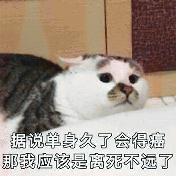 微信日常吸猫斗图表情包