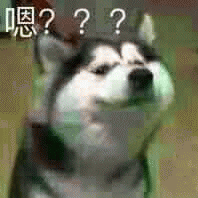 微信近期哈士奇恶搞表情包