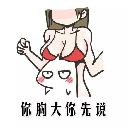 你胸大说什么都对微信恶搞逗比表情包