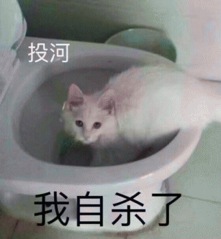 微信日常吸猫斗图表情包