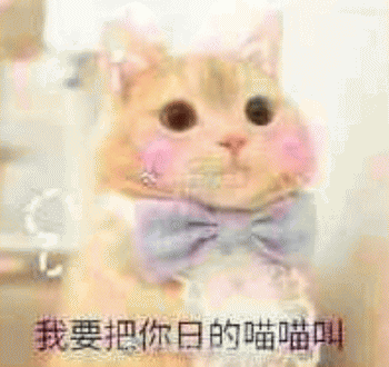 微信日常吸猫斗图表情包