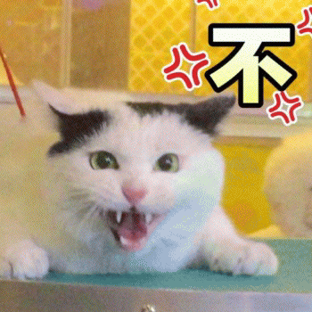 微信日常吸猫斗图表情包