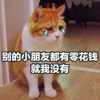微信日常吸猫斗图表情包