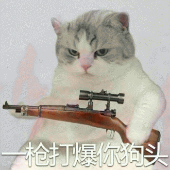 微信日常吸猫斗图表情包