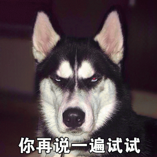 微信近期哈士奇恶搞表情包