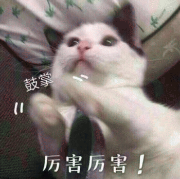 微信日常吸猫斗图表情包