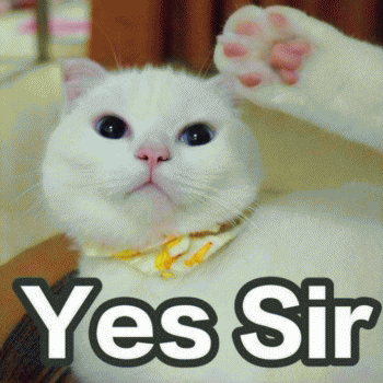 微信日常吸猫斗图表情包