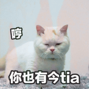 微信日常吸猫斗图表情包