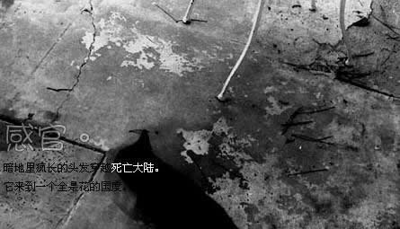 经典朋友圈伤感另类图片合集下载