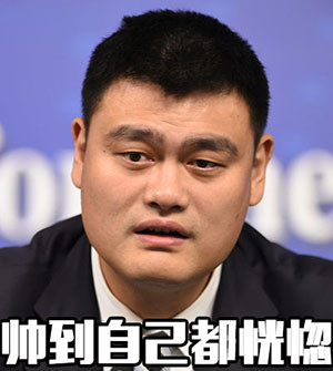 微信姚明恶搞逗比表情包