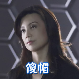 梅姨微信恶搞逗比表情包