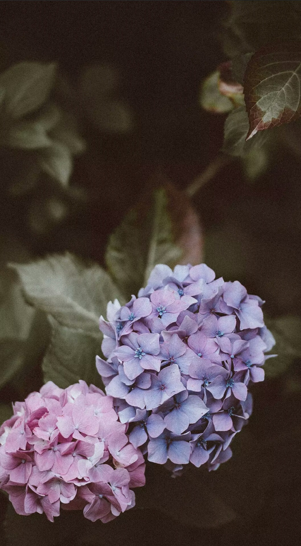 微信孤独伤感意境聊天背景