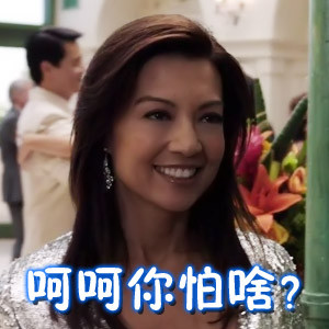 梅姨微信恶搞逗比表情包