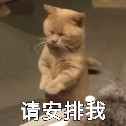 微信近期斗图恶搞表情包12/11（二）