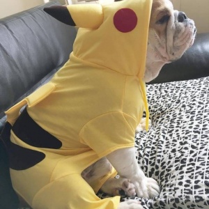 微信非主流个性汪星人头像