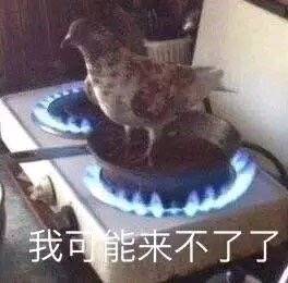 微信近期恶搞斗图表情包12/12（二）