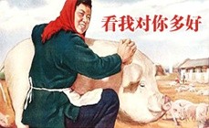 微信宣传画恶搞逗比表情包下载