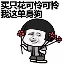 可怜可怜我这单身狗微信恶搞逗比表情包