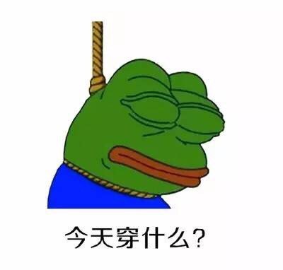 我为什么是个女人微信悲伤蛙恶搞表情包