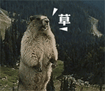 咆哮的土拔鼠微信动态恶搞表情包