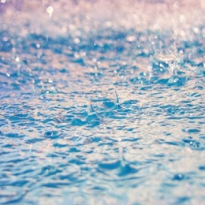 微信最新意境唯美风景静物头像