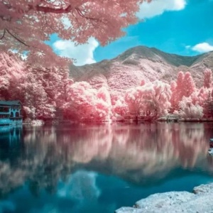 微信最新意境唯美风景静物头像