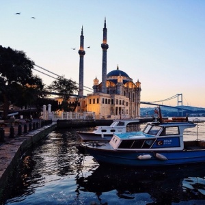 微信最新意境唯美风景静物头像