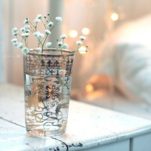 微信最新意境唯美风景静物头像