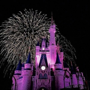 微信最新意境唯美风景静物头像