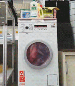 微信搞笑动态表情包