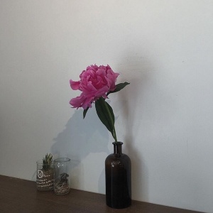 微信最新意境唯美风景静物头像