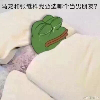 我为什么是个女人微信悲伤蛙恶搞表情包