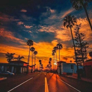 微信最新意境唯美风景静物头像