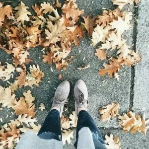 微信最新意境唯美风景静物头像