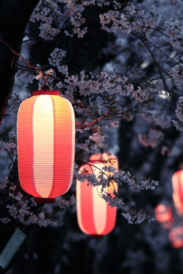 微信最新意境风景聊天背景