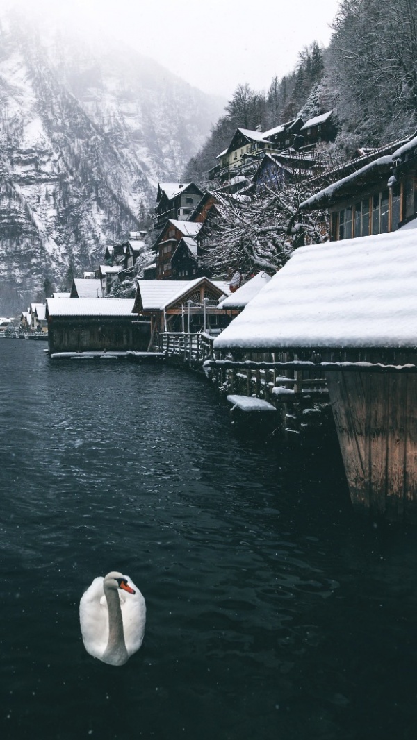 微信最新意境风景聊天背景