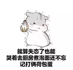 胖胖仓鼠微信恶搞表情包