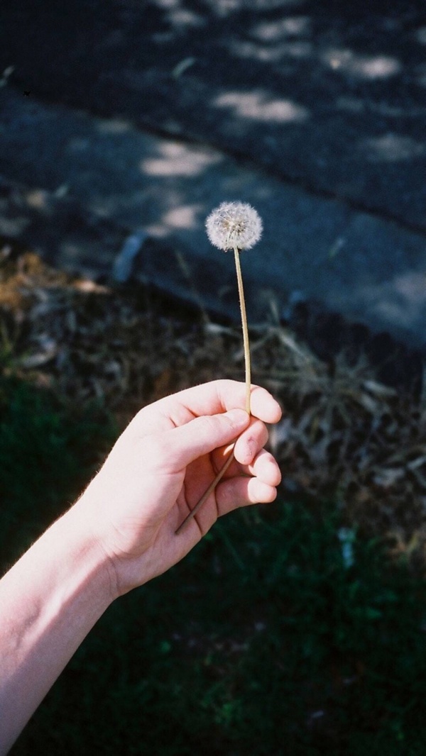微信最新意境风景聊天背景