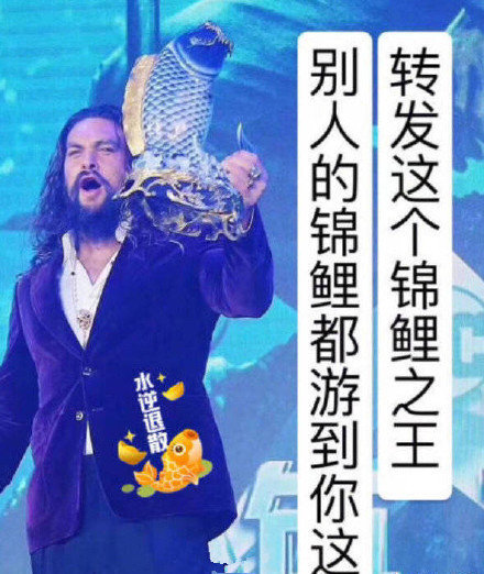 微信近期恶搞斗图表情包12/18（二）