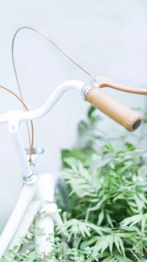 微信最新意境风景聊天背景