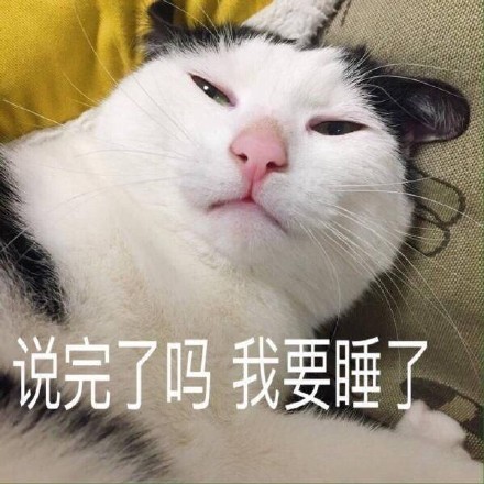 微信猫咪萌萌哒表情包