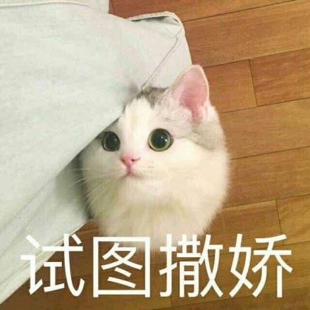 微信猫咪萌萌哒表情包