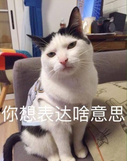 微信猫咪萌萌哒表情包