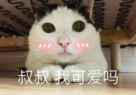 微信猫咪萌萌哒表情包